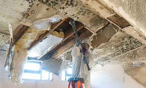 Reliable Garrettsville, OH Mold Prevention & Removal  Solutions